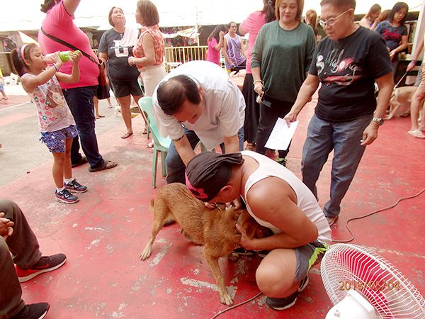 2018エストラダにて狂犬病ワクチン接種12