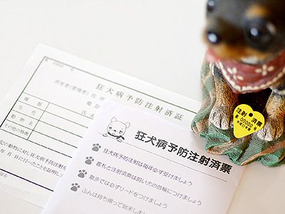 検診・予防接種イメージ
